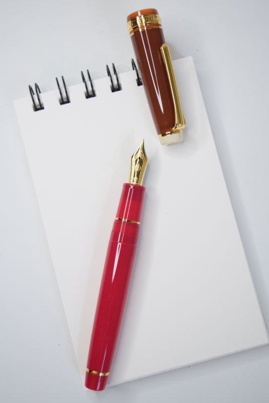 Sailor Europe Exclusive Cocktail "Parisian" PG Fountain Pen 21K